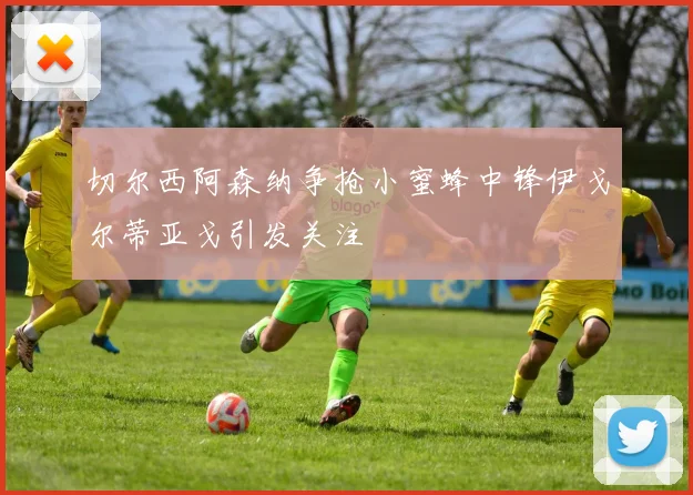 切尔西阿森纳争抢小蜜蜂中锋伊戈尔蒂亚戈引发关注