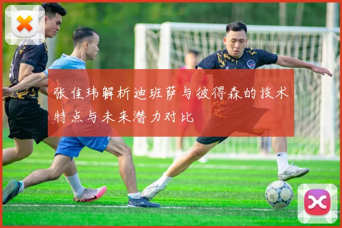 张佳玮解析迪班萨与彼得森的技术特点与未来潜力对比